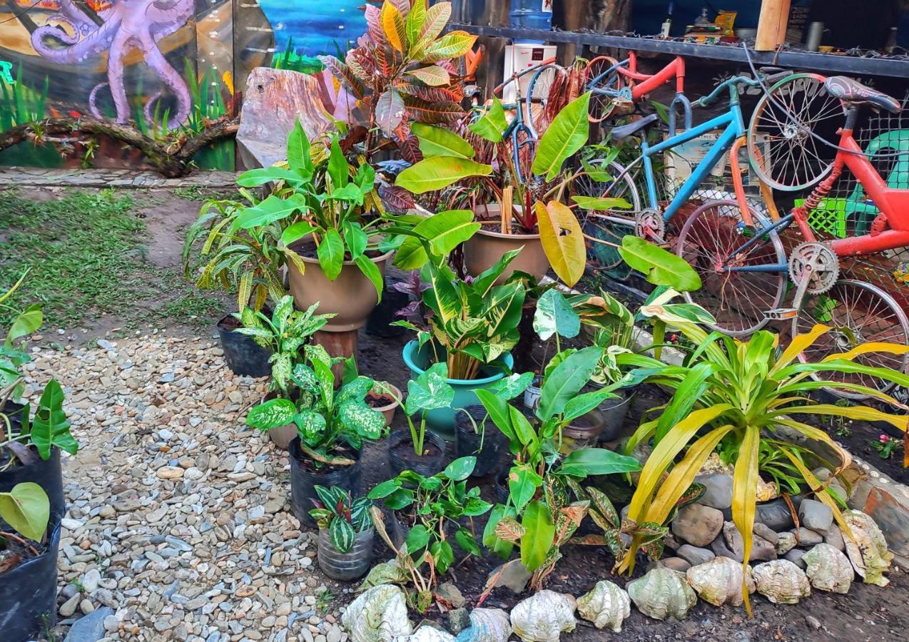 Apartamento Castaway Native Huts San Vicente  Exterior foto